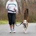 Bild von Trixie Bauchgurt mit Leine für mittelgroße und große Hunde - 75-120 cm