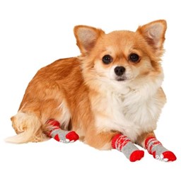 Bild von Karlie Doggy Socks Hundesocken 4er Set - Rot/Grau - L