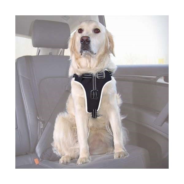 Bild von Trixie Auto-Sicherheitsgeschirr Dog Protect - S-M: 40-55 cm